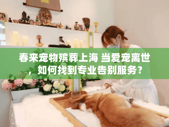 春来宠物殡葬上海 当爱宠离世，如何找到专业告别服务？