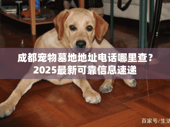 成都宠物墓地地址电话哪里查？2025最新可靠信息速递