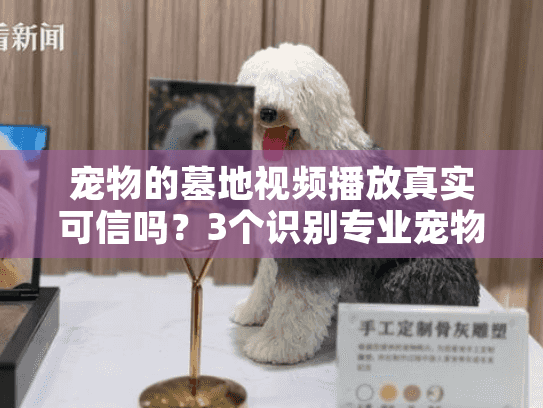 宠物的墓地视频播放真实可信吗?3个识别专业宠物殡葬服务的关键点 宠物的墓地视频播放真实可信吗?3个识别专业宠物殡葬服务的关键点