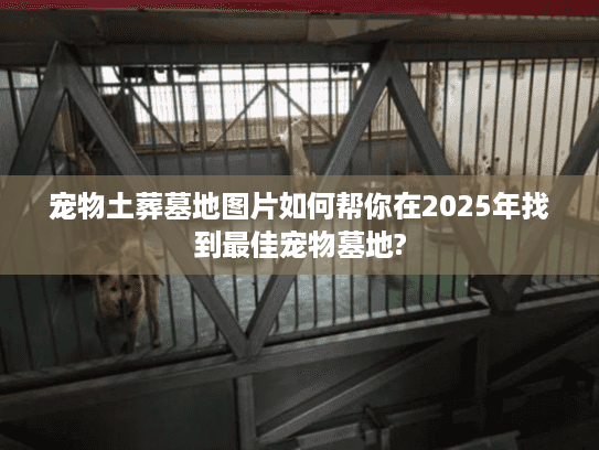 宠物土葬墓地图片如何帮你在2025年找到最佳宠物墓地? 宠物土葬墓地图片如何帮你在2025年找到最佳宠物墓地?