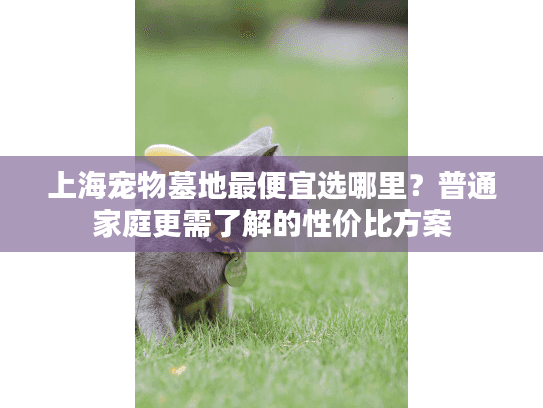 上海宠物墓地最便宜选哪里？普通家庭更需了解的性价比方案