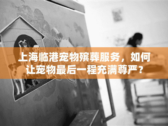 上海临港宠物殡葬服务，如何让宠物最后一程充满尊严？