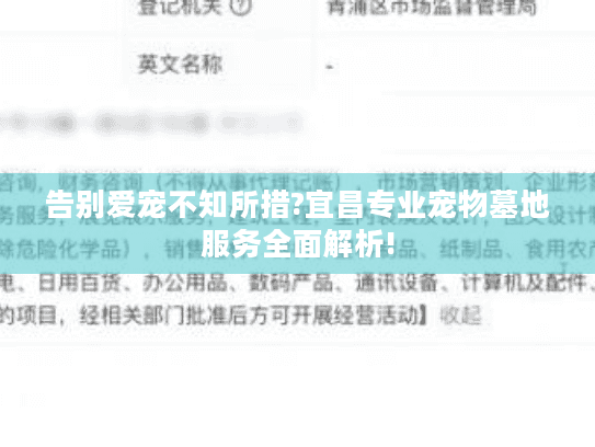 告别爱宠不知所措?宜昌专业宠物墓地服务全面解析!