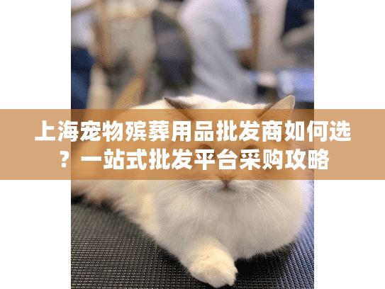 上海宠物殡葬用品批发商如何选？一站式批发平台采购攻略