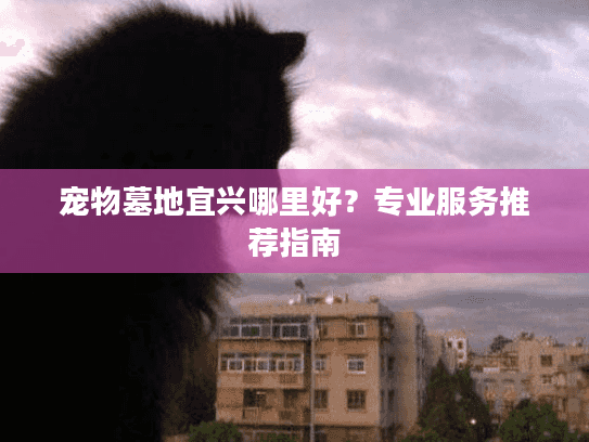 宠物墓地宜兴哪里好？专业服务推荐指南