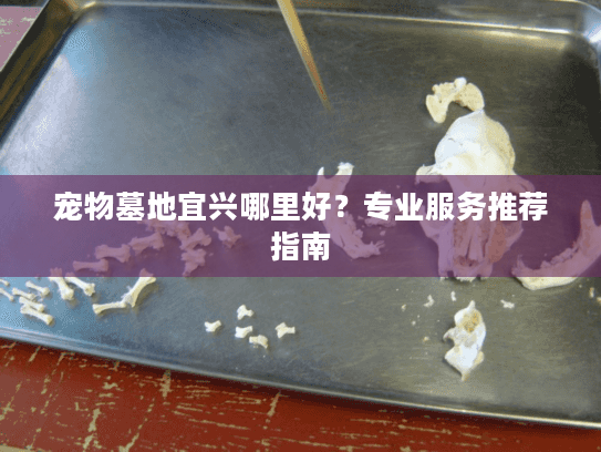宠物墓地宜兴哪里好？专业服务推荐指南
