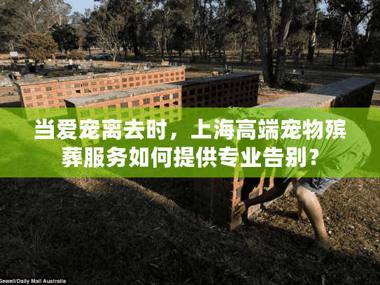 当爱宠离去时，上海高端宠物殡葬服务如何提供专业告别？