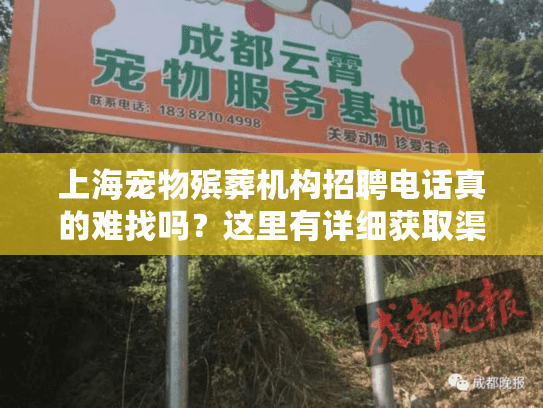 上海宠物殡葬机构招聘电话真的难找吗？这里有详细获取渠道
