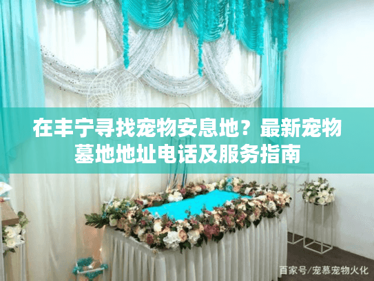 在丰宁寻找宠物安息地？最新宠物墓地地址电话及服务指南