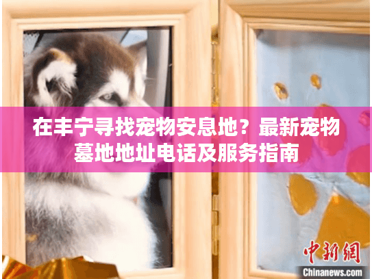 在丰宁寻找宠物安息地？最新宠物墓地地址电话及服务指南