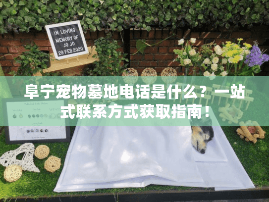 阜宁宠物墓地电话是什么？一站式联系方式获取指南！