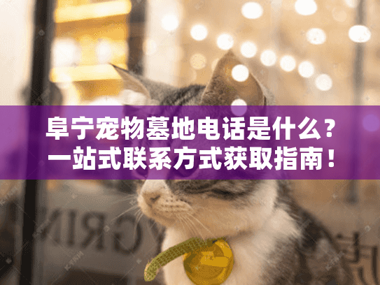 阜宁宠物墓地电话是什么？一站式联系方式获取指南！