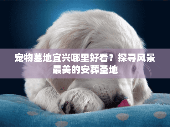 宠物墓地宜兴哪里好看？探寻风景最美的安葬圣地