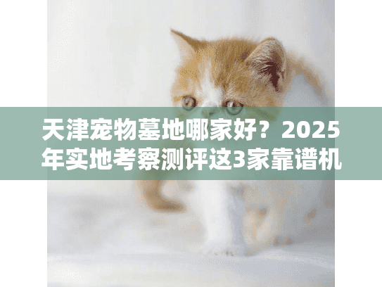 天津宠物墓地哪家好？2025年实地考察测评这3家靠谱机构