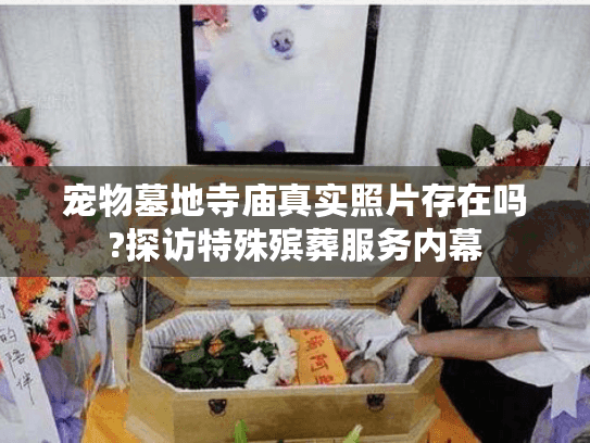 宠物墓地寺庙真实照片存在吗?探访特殊殡葬服务内幕 宠物墓地寺庙真实照片存在吗?探访特殊殡葬服务内幕
