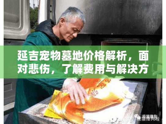 延吉宠物墓地价格解析，面对悲伤，了解费用与解决方案