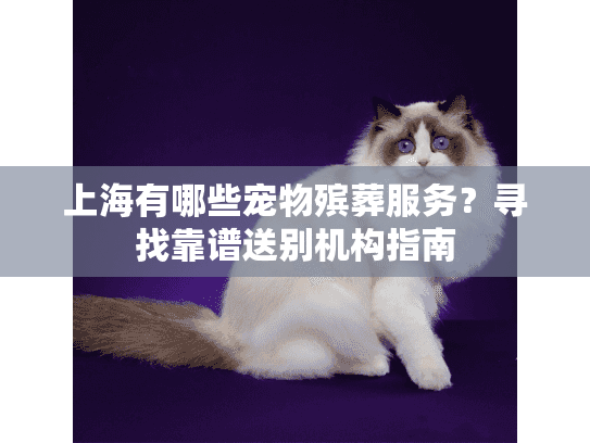 上海有哪些宠物殡葬服务？寻找靠谱送别机构指南