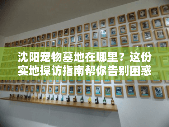 沈阳宠物墓地在哪里?这份实地探访指南帮你告别困惑 沈阳宠物墓地在哪里?这份实地探访指南帮你告别困惑