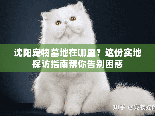 沈阳宠物墓地在哪里?这份实地探访指南帮你告别困惑 沈阳宠物墓地在哪里?这份实地探访指南帮你告别困惑