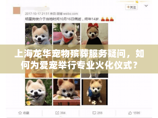 上海龙华宠物殡葬服务疑问，如何为爱宠举行专业火化仪式？