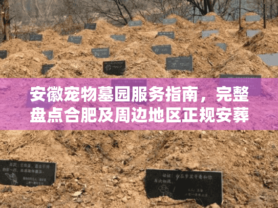 安徽宠物墓园服务指南，完整盘点合肥及周边地区正规安葬场所