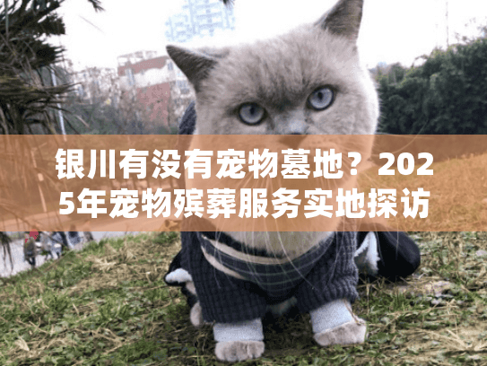 银川有没有宠物墓地？2025年宠物殡葬服务实地探访报告
