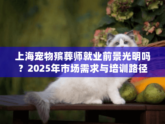 上海宠物殡葬师就业前景光明吗？2025年市场需求与培训路径解析