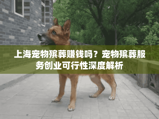 上海宠物殡葬赚钱吗？宠物殡葬服务创业可行性深度解析