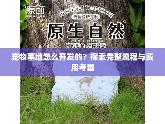 宠物墓地怎么开发的？探索完整流程与费用考量