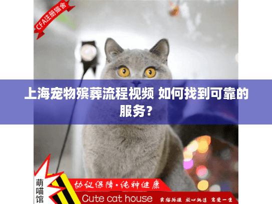 上海宠物殡葬流程视频 如何找到可靠的服务？