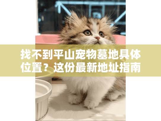 找不到平山宠物墓地具体位置？这份最新地址指南帮你精准定位