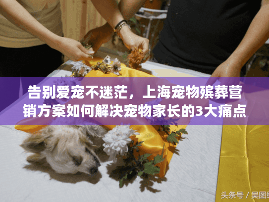 告别爱宠不迷茫，上海宠物殡葬营销方案如何解决宠物家长的3大痛点？