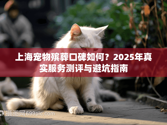 上海宠物殡葬口碑如何？2025年真实服务测评与避坑指南