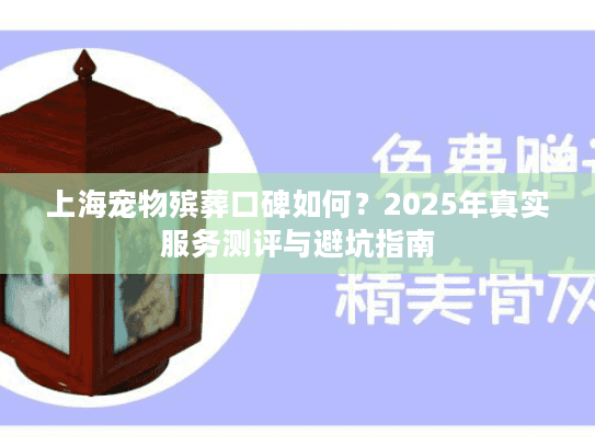 上海宠物殡葬口碑如何？2025年真实服务测评与避坑指南