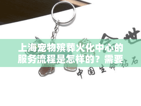 上海宠物殡葬火化中心的服务流程是怎样的？需要预约吗？