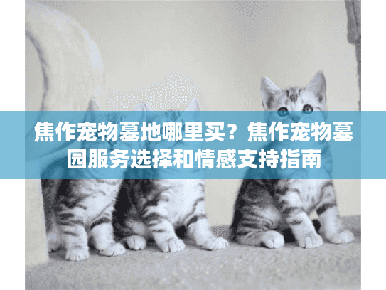 焦作宠物墓地哪里买？焦作宠物墓园服务选择和情感支持指南