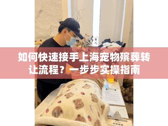 如何快速接手上海宠物殡葬转让流程？一步步实操指南