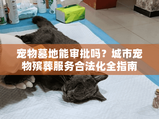 宠物墓地能审批吗？城市宠物殡葬服务合法化全指南