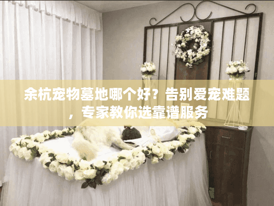余杭宠物墓地哪个好？告别爱宠难题，专家教你选靠谱服务