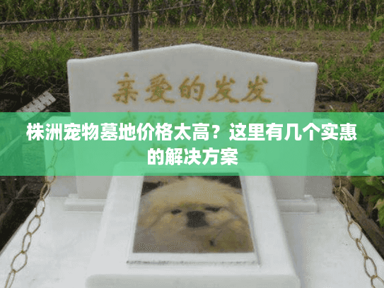 株洲宠物墓地价格太高？这里有几个实惠的解决方案