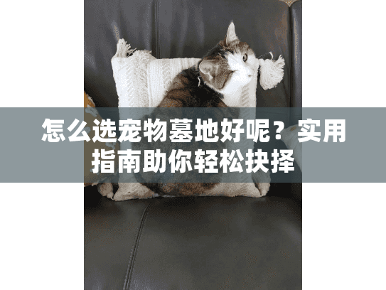 怎么选宠物墓地好呢?实用指南助你轻松抉择 怎么选宠物墓地好呢?实用指南助你轻松抉择