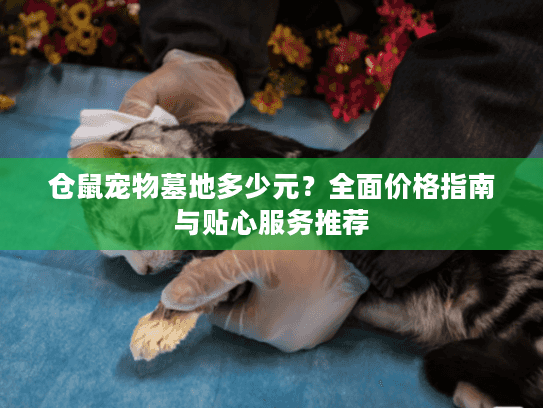 仓鼠宠物墓地多少元？全面价格指南与贴心服务推荐