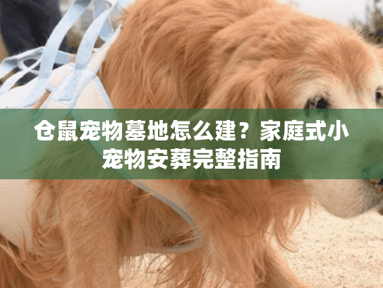 仓鼠宠物墓地怎么建?家庭式小宠物安葬完整指南 仓鼠宠物墓地怎么建?家庭式小宠物安葬完整指南