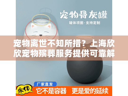 宠物离世不知所措？上海欣欣宠物殡葬服务提供可靠解决方案