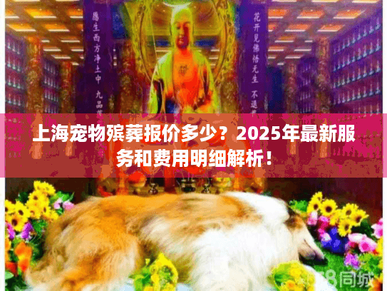 上海宠物殡葬报价多少？2025年最新服务和费用明细解析！
