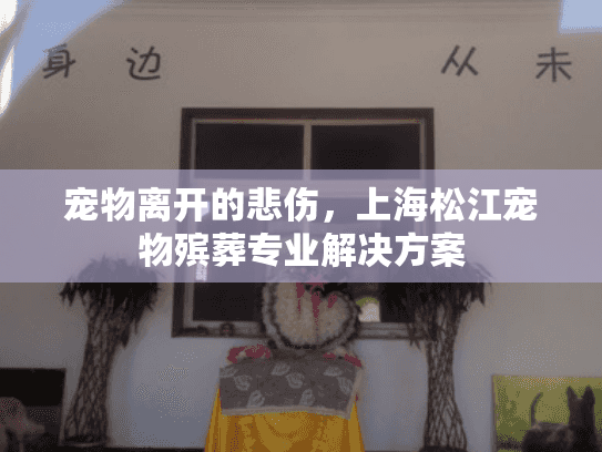 宠物离开的悲伤，上海松江宠物殡葬专业解决方案