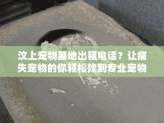 汶上宠物墓地出租电话？让痛失宠物的你轻松找到专业宠物殡葬服务