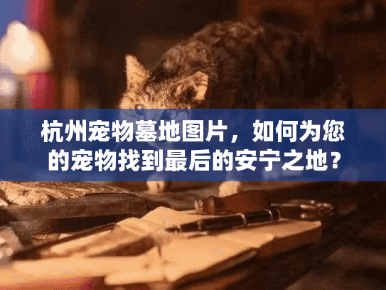 杭州宠物墓地图片，如何为您的宠物找到最后的安宁之地？