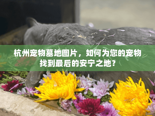 杭州宠物墓地图片，如何为您的宠物找到最后的安宁之地？