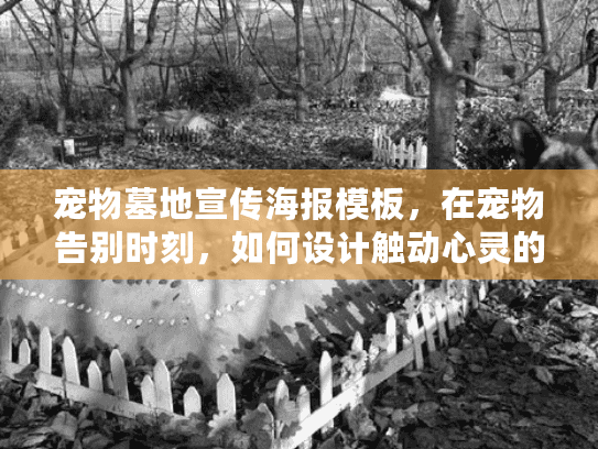 宠物墓地宣传海报模板，在宠物告别时刻，如何设计触动心灵的宣传海报？